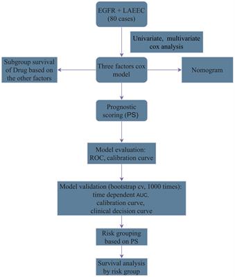 Development and internal validation of a nomogram for predicting survival of nonoperative EGFR-positive locally advanced elderly esophageal cancers